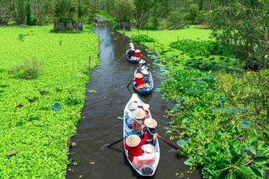 An Giang, Vietnam - 3 Eylül 2022: Kayıkçı, Mangrove ormanlarındaki kanallar boyunca bir tekne turuna çıkar. Burası An Giang, Vietnam 'daki Mekong Delta' da bir eko turizm alanı.