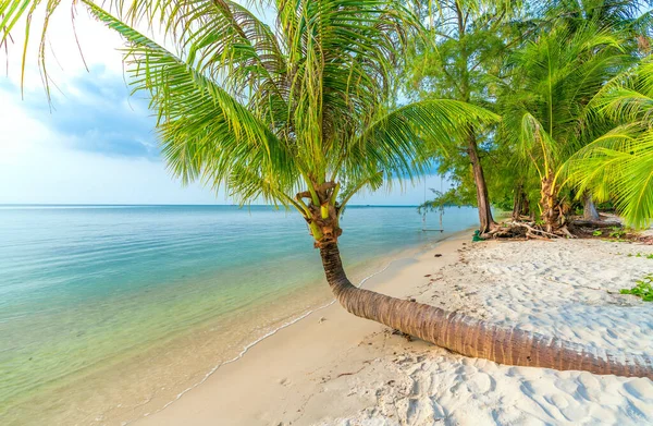 Denizyıldızı Sahili Rach Vem Köyü Phu Quoc Adası Vietnam — Stok fotoğraf