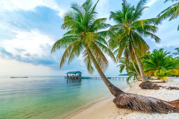 Denizyıldızı Sahili Rach Vem Köyü Phu Quoc Adası Vietnam — Stok fotoğraf