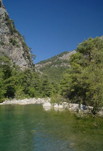 El río de la montaña. — Foto de Stock