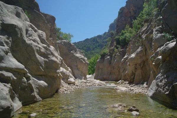 El río de la montaña. —  Fotos de Stock