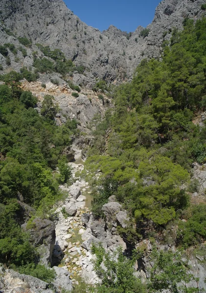 A Hegyi folyó. — Stock Fotó