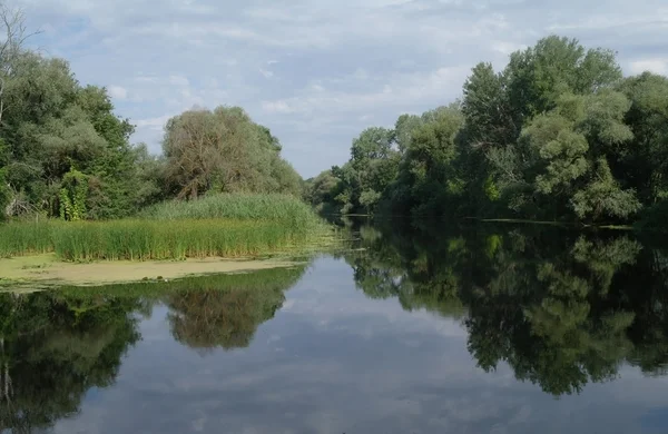 Widok na rzekę — Zdjęcie stockowe