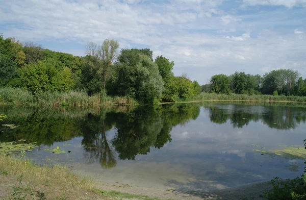 View on the river — Stock Photo, Image