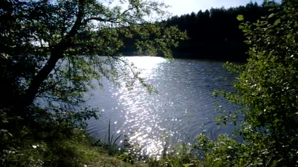 Plantes riveraines 
