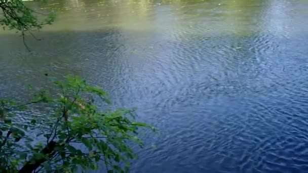 vue sur la rivière