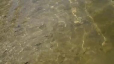 Güneş parlamayı ile sığ su seviyesi