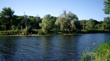 Nehir kenarı bitkileri