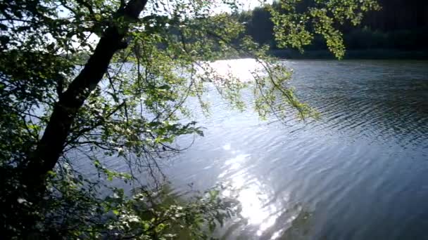 Vista del río — Vídeos de Stock