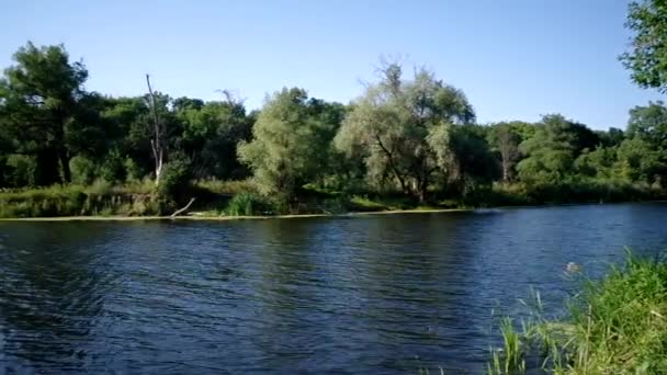 Plantes riveraines 