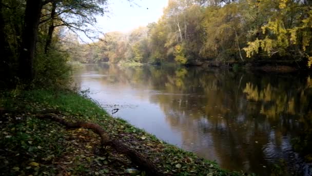 Herbstliche Landschaft — Stockvideo