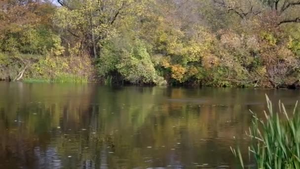 Herbstliche Landschaft — Stockvideo