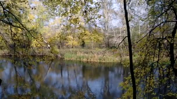 Paysage d'automne — Video