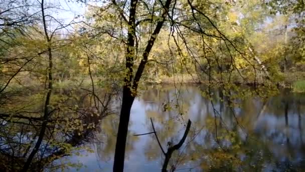 Herfstlandschap — Stockvideo