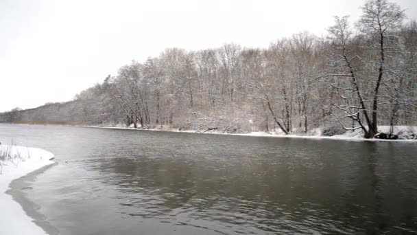 Vinter av floden — Stockvideo