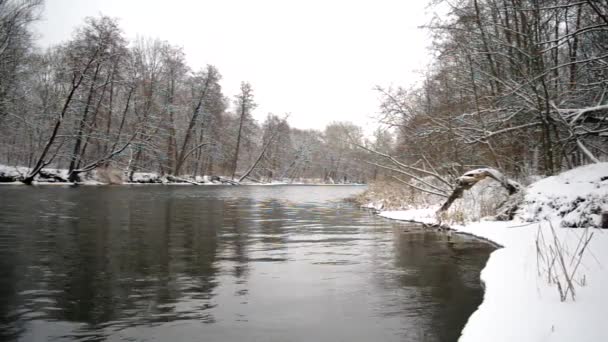 Vinter av floden — Stockvideo