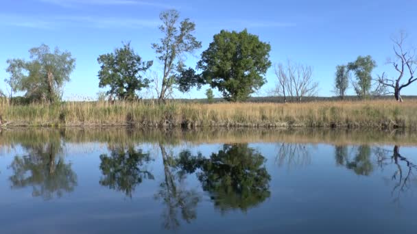 Vista sul fiume — Video Stock