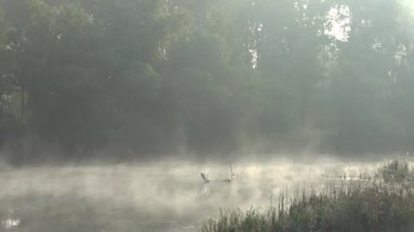 sabah sis Nehri üzerinde