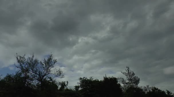 流动的云 — 图库视频影像