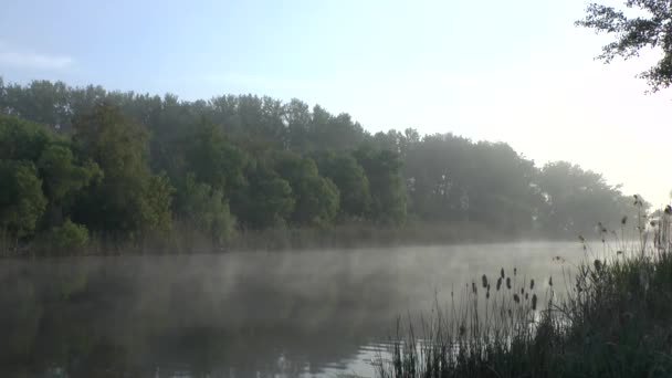 Ochtend met mist over de rivier — Stockvideo