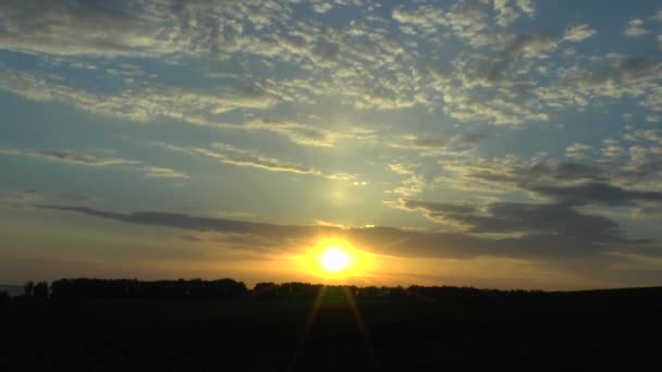 Sunrise above a wood — Stock Video