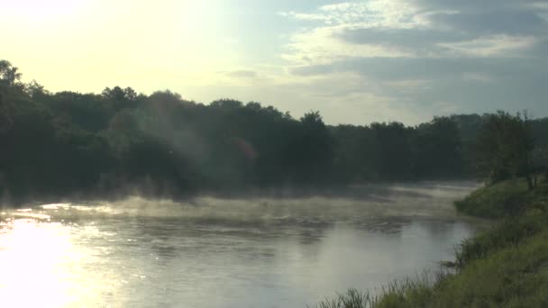 Typ op de rivier de ochtend — Stockvideo