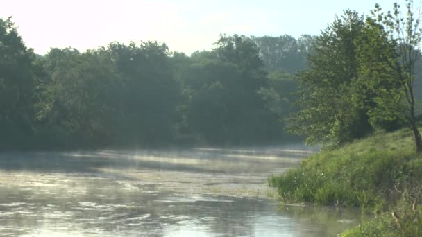 Tipo en el río de la mañana — Vídeo de stock