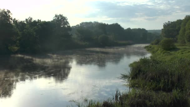 Тип на утренней реке — стоковое видео