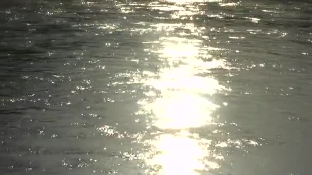 Lago con luce frizzante — Video Stock