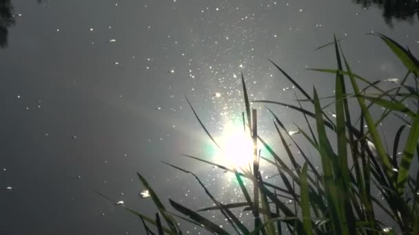 Weerspiegeling van een zonlicht in een rivier oppervlak. — Stockvideo