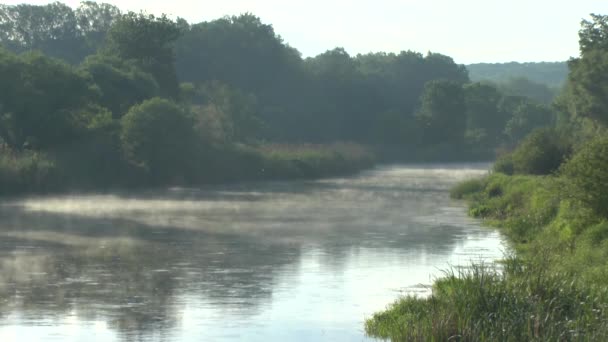 Typ op de rivier de ochtend — Stockvideo