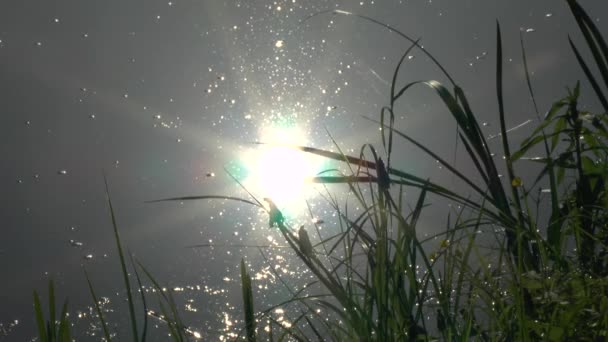 Weerspiegeling van een zonlicht in een rivier oppervlak. — Stockvideo