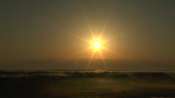 Схід сонця над туманним лісом — стокове відео