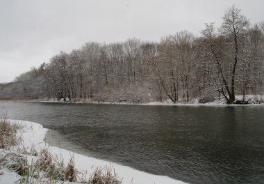 karla kaplı ağaçlar ve Nehri