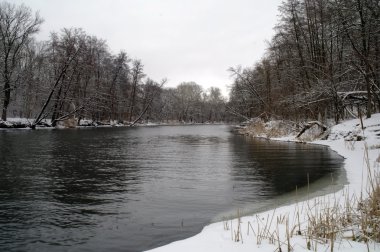 karla kaplı ağaçlar ve Nehri