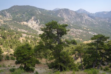 Toros Dağları,
