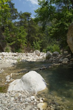 Dağ Nehri.