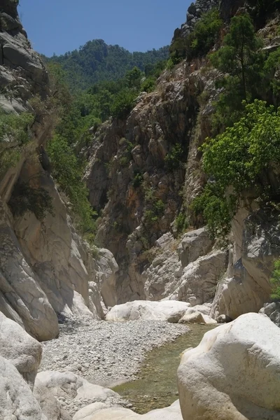 El río de la montaña. —  Fotos de Stock