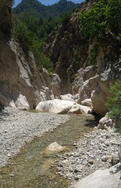 El río de la montaña. — Foto de Stock