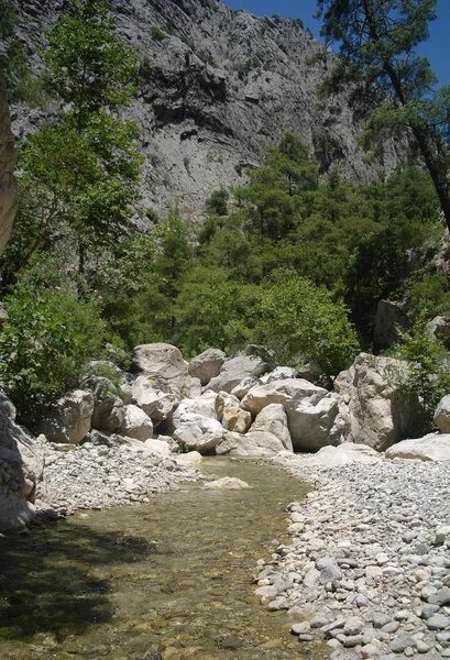 Dağ Nehri. — Stok fotoğraf