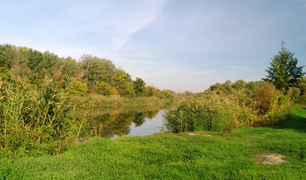 River tájkép — Stock Fotó