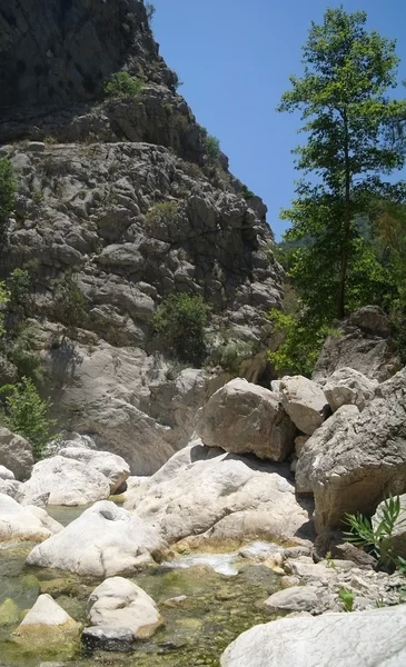 El río de la montaña. — Foto de Stock