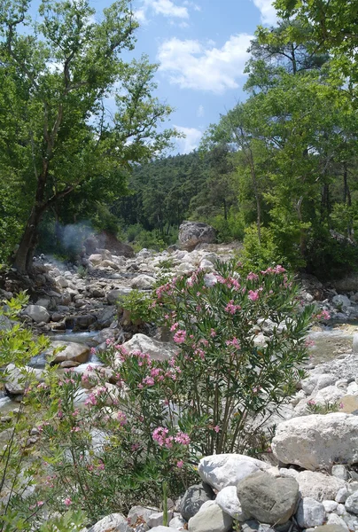 El río de la montaña. — Foto de Stock