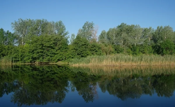 Flodlandskap — Stockfoto