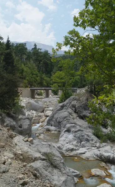 El río de la montaña. — Foto de Stock