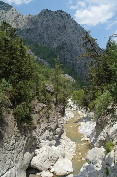 El río de la montaña. — Foto de Stock