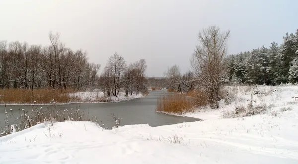 Зима річки — стокове фото