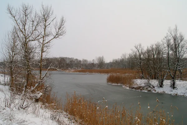 Hiver de la rivière — Photo