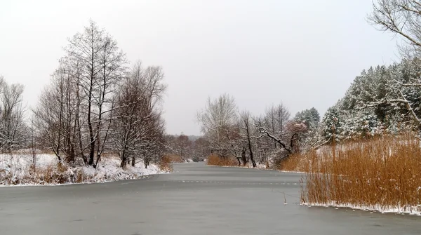 Invierno del río — Foto de Stock