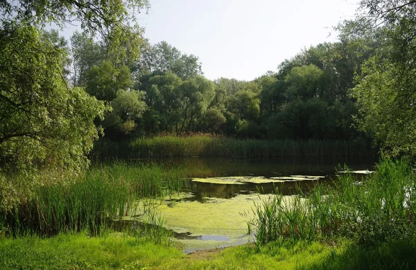 Peisaj fluvial — Fotografie, imagine de stoc